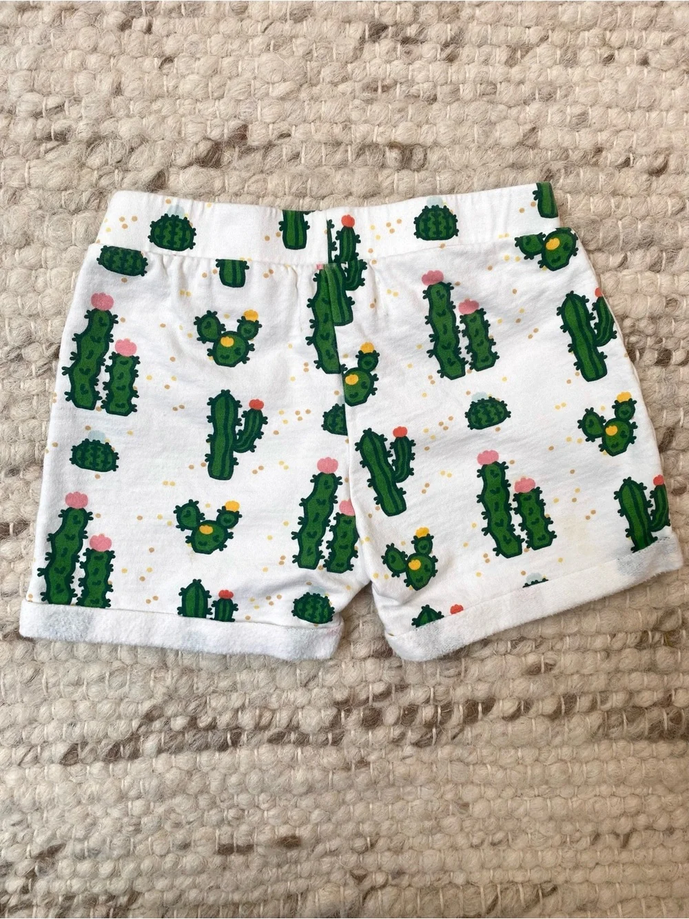 Monica + Andy Cactus Set + Primary Ombre Shorts Bundle 3T